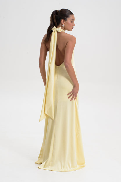 Halter Neck Maxi Dress
