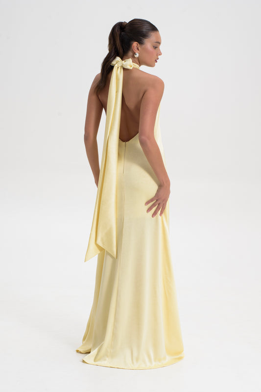 Halter Neck Maxi Dress