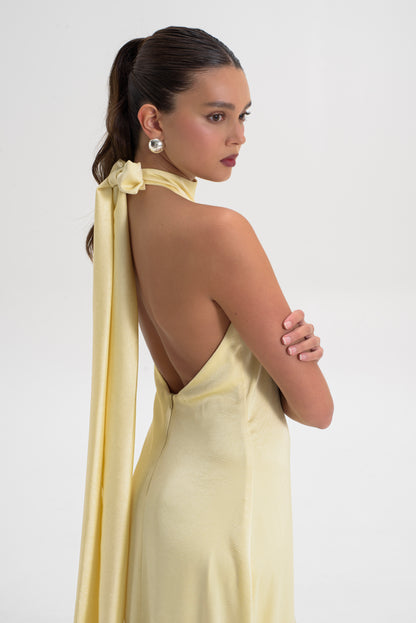 Halter Neck Maxi Dress