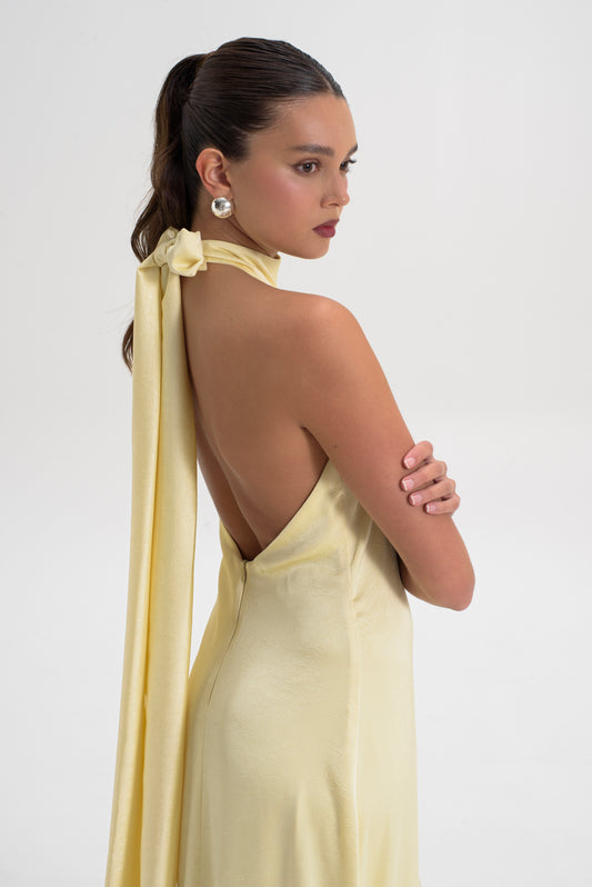 Halter Neck Maxi Dress